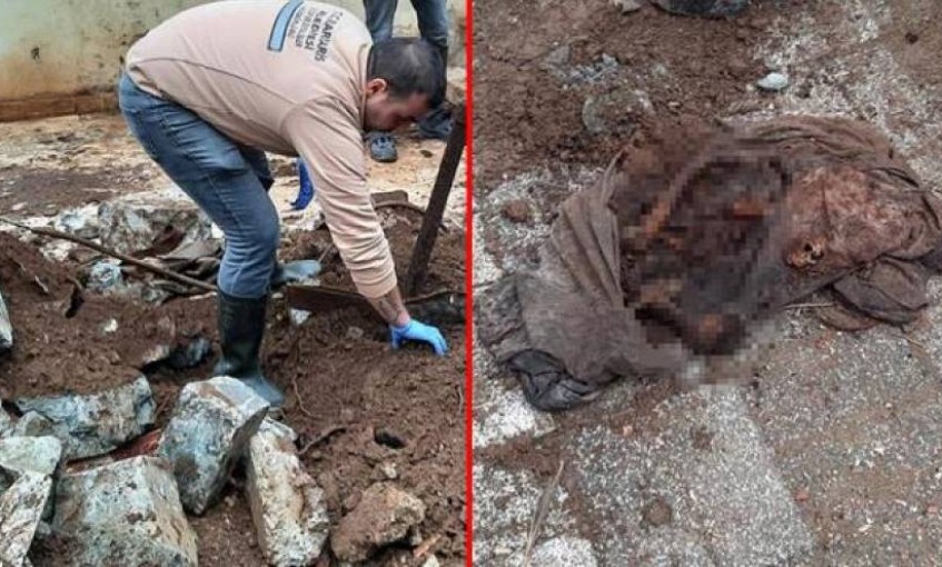 Bahçeyi kazan ekipler gözlerine inanamadı: Ev değil hayvan mezarlığı