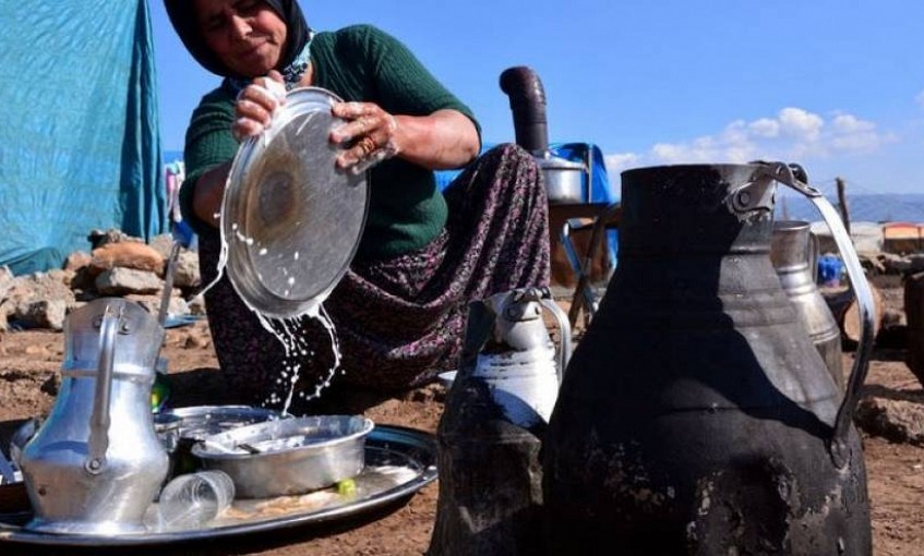 Göçebe yaşamın temsilcisi 'son Yörükler': Bizden sonra bu kültür biter
