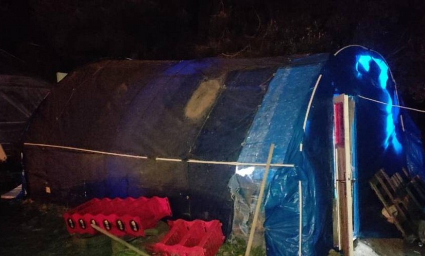 Muğla'da horoz dövüştürürken suçüstü yakalanan 8 kişi hakkında işlem yapıldı