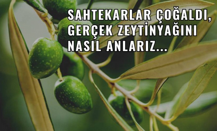 Sahtekarlar Çoğaldı, Gerçek Zeytinyağını Nasıl Anlarız